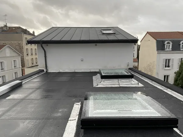 Étanchéité de toit terrasse et VELUX à Asnières-sur-Seine, photo 3 sur 4 : toiture terrasse finie 3 velux vue ensemble