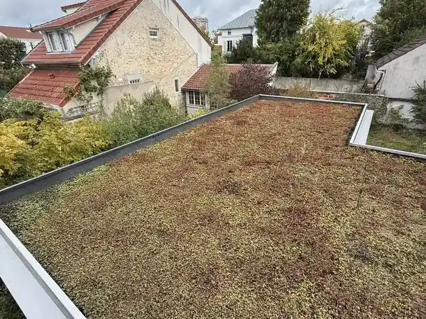 Toiture-terrasse végétalisée d'un immeuble à Boulogne-Billancourt