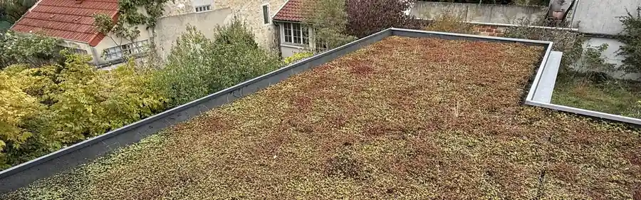 Toiture-terrasse végétalisée d'une maison à Boulogne-Billancourt, entourée des toits du quartier