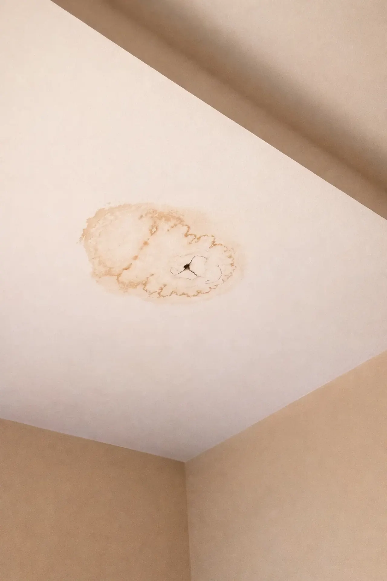 Tache d'humidité brune au plafond du dernier étage d'un appartement, avec une petite fissure au centre