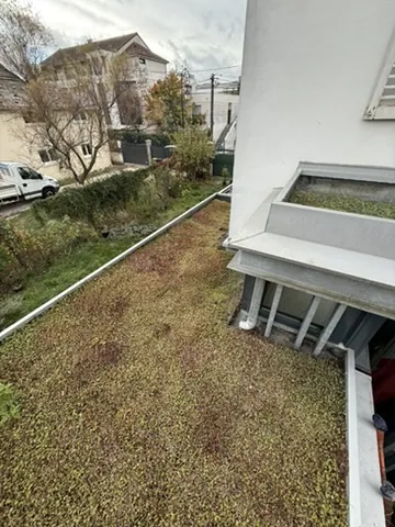 Toiture-terrasse végétalisée avec fenêtres de toit sur une maison en Île-de-France