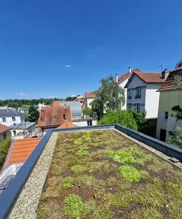 Toiture-terrasse végétalisée vue en large sur un bâtiment en Île-de-France