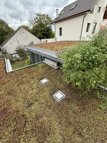 Toiture végétalisée en sedum avec lanterneau sur un toit plat