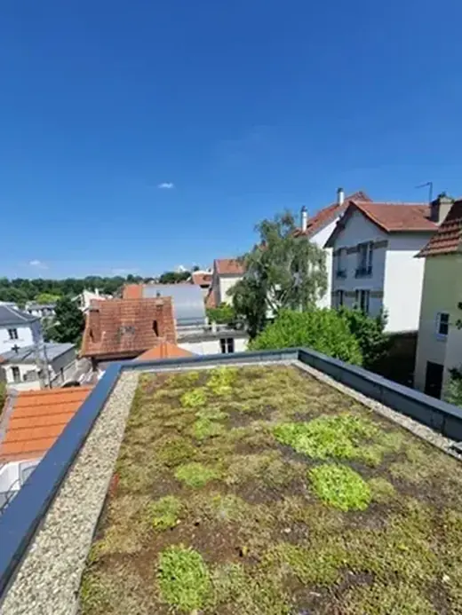 Toiture-terrasse végétalisée sur un bâtiment en Île-de-France